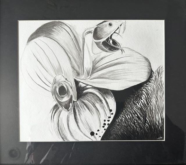 Planta carnívora